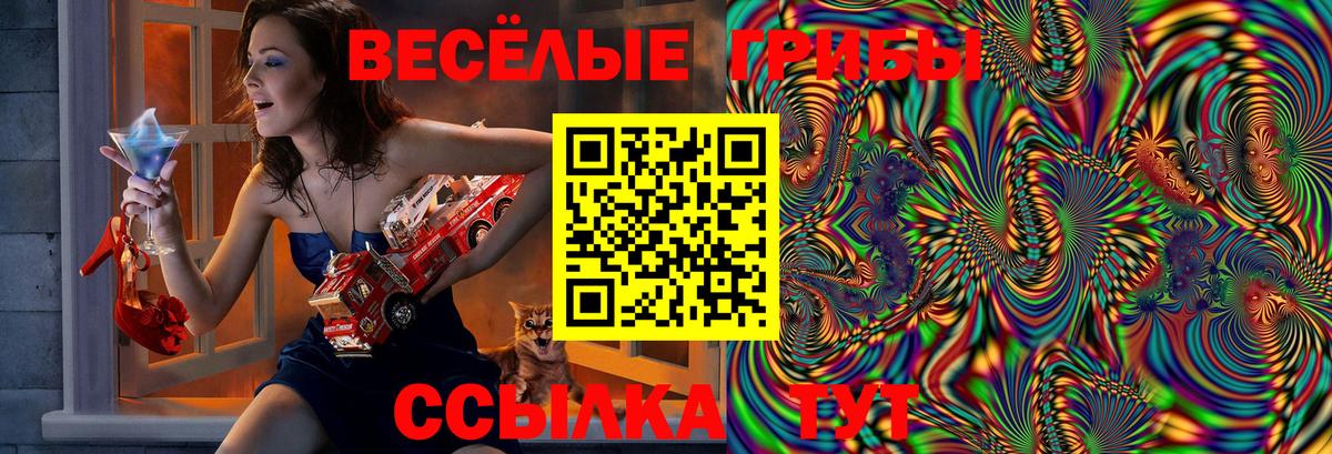 что такое наркотик  Вход с VPN  Полевской  Галлюциногенные грибы ЛСД 