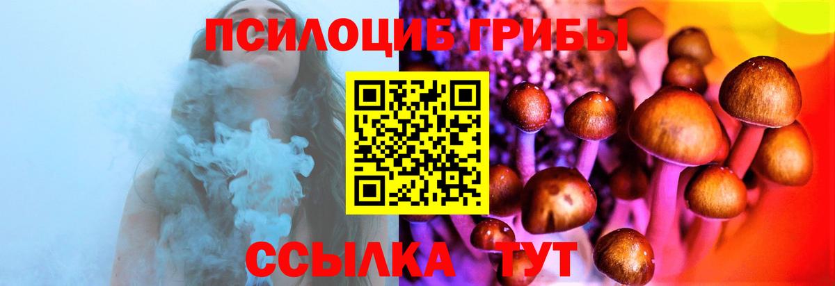 Псилоцибиновые грибы Cubensis Полевской